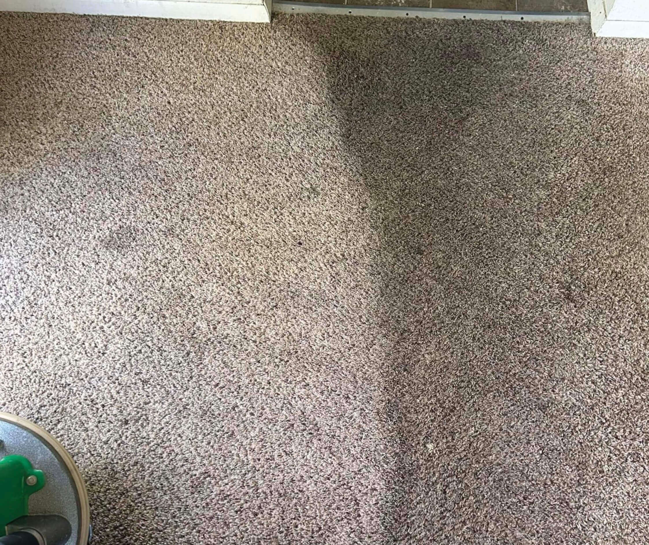 carpet cleaning service