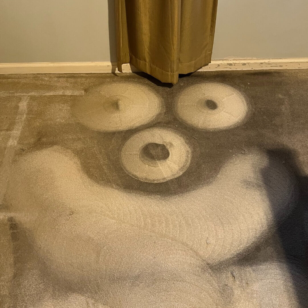 chem dry carpet cleaning results