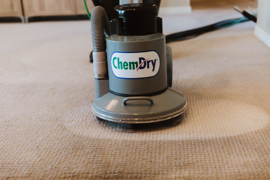 chemdry-30
